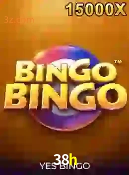 bingobingo